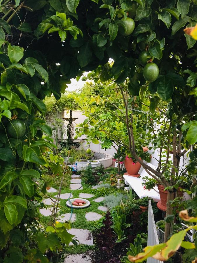 Our Hermanus House Dış mekan fotoğraf